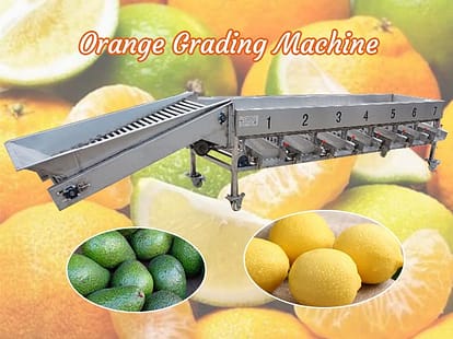 orange grading machine